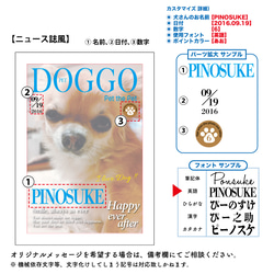 うちのDog　オーダーメイドポスター（ニュース誌風）  業務用印刷機/高画質仕上がり　メール便対応 /犬 4枚目の画像