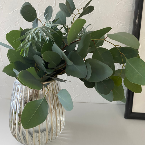 ナチュラル/ユーカリ/ユーカリmix/スワッグ その他インテリア