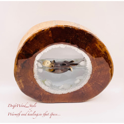 一つ限りの流木アート 海に浮かぶラッコ ジオラマ 流木 フィギュア 置物 インテリア レジン テラリウム 生き物 N11 6枚目の画像
