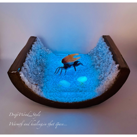 海の世界を閉じ込めた流木アート 浅瀬を歩くシオマネキ カニ 水中