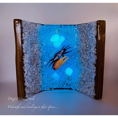 海の世界を閉じ込めた流木アート 浅瀬を歩くシオマネキ カニ 水中