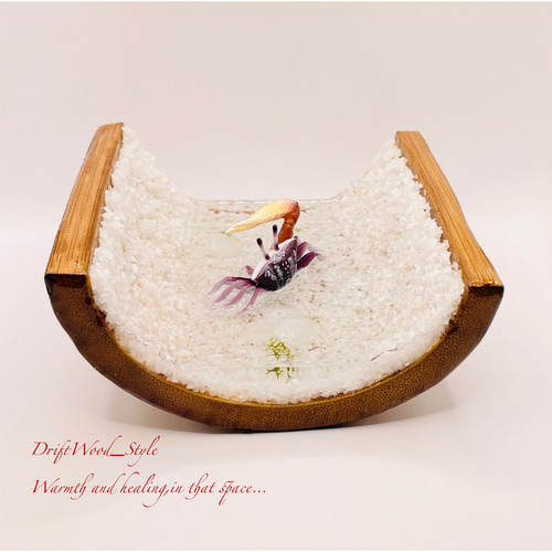 海の世界を閉じ込めた流木アート 浅瀬を歩くシオマネキ カニ 水中