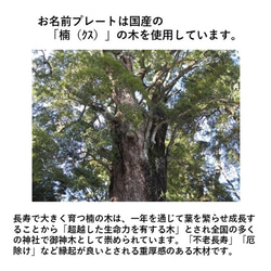 出産祝いセット　N　　バースデーオーナメント　ガラガラ　こどもの日　名入れ　おもちゃ、出産祝い、内祝い、節句祝い　 9枚目の画像