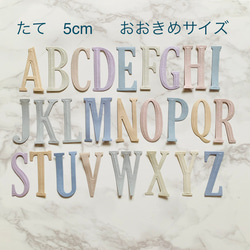 大きめアルファベット ダイ・クラフトパンチ お好きな文字選択可能 20