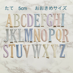 大きめアルファベット　ダイ・クラフトパンチ  お好きな文字選択可能　20枚　くすみカラー　記念日・アルバム制作 1枚目の画像