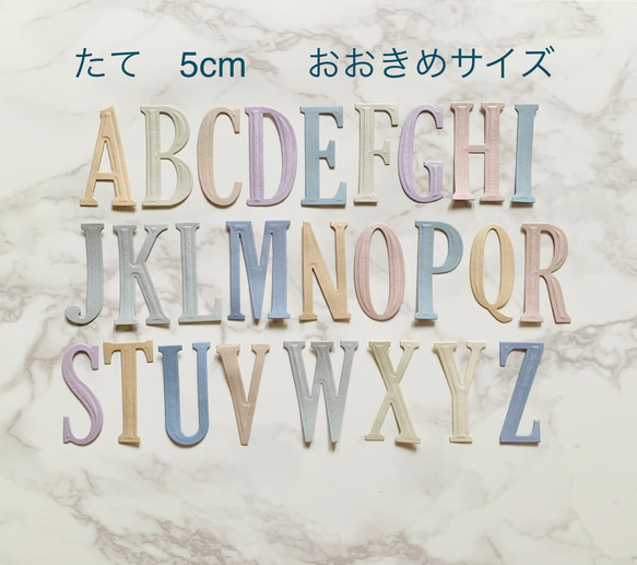 大きめアルファベット　ダイ・クラフトパンチ  お好きな文字選択可能　20枚　くすみカラー　記念日・アルバム制作 1枚目の画像