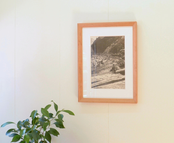 ヤマザクラのA4額縁 2枚目の画像