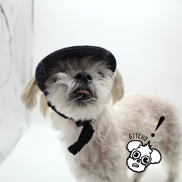 ドッグキャップ-チャコールXパッチワークジャガードデニム（耳出し）犬用帽子 3枚目の画像