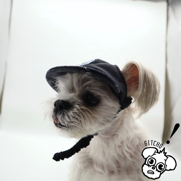 ドッグキャップ-チャコールXパッチワークジャガードデニム（耳出し）犬用帽子 4枚目の画像