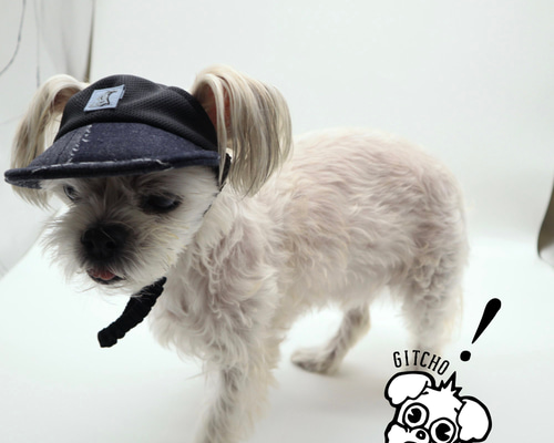 f6b7c89ecdc4ee51bcb3f8fd30b413