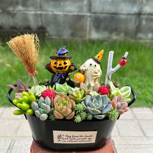 ☆送料無料☆そのまま飾れる♡ハロウィンの多肉植物寄せ植え ...