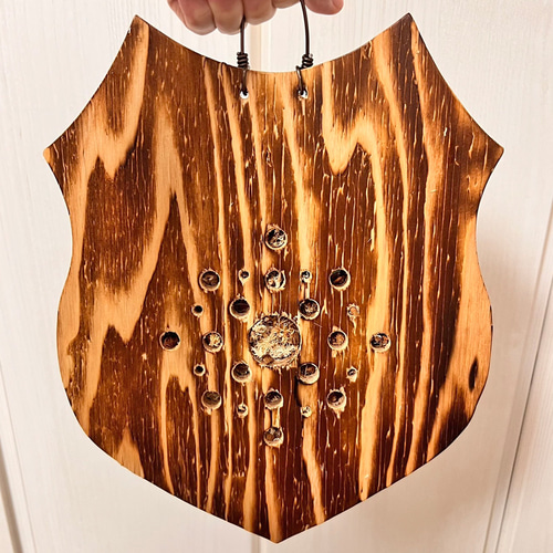 ビカクシダ リドレイ 板付 観葉植物 室内 コウモリラン インテリア