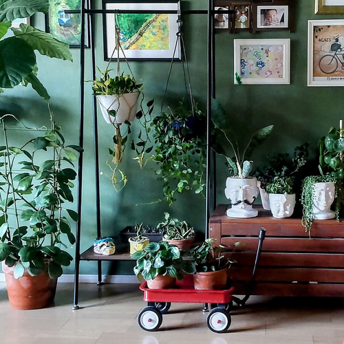HIGE フェイスプランター おしゃれ植木鉢 その他インテリア雑貨