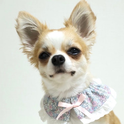 犬スタイ　ペットスタイ　小花柄のフリルレースが可愛いスタイ　小型犬 2枚目の画像