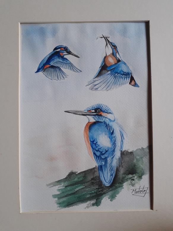 水彩画 カワセミ 絵画 makochin 通販 16447748|Creema(クリーマ) 水彩画 カワセミ 絵画 makochin 通販 16447748|Creema(クリーマ)
