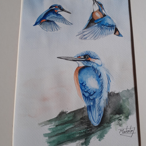 水彩画 カワセミ 絵画 makochin 通販 16447748|Creema(クリーマ) 水彩画 カワセミ 絵画 makochin 通販 16447748|Creema(クリーマ)