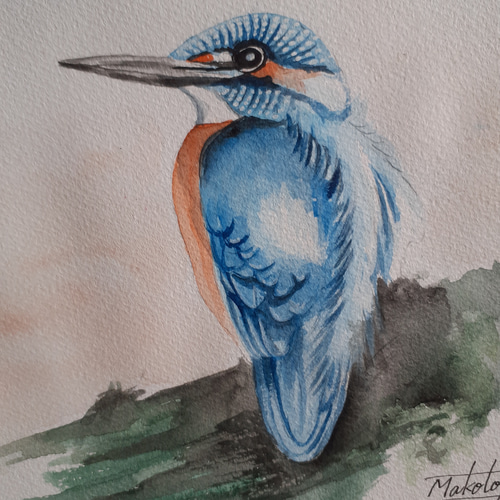 水彩画 カワセミ 絵画 makochin 通販 16447748|Creema(クリーマ) 水彩画 カワセミ 絵画 makochin 通販 16447748|Creema(クリーマ)