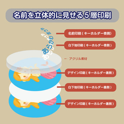  第9張的照片