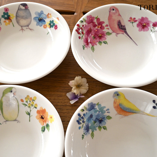 インコ パスタ＆カレー皿 （鳥80羽の中から選べる） 大皿 TORINKO 通販