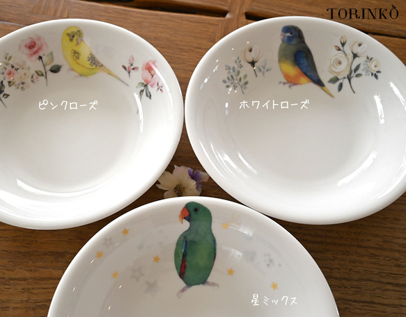 インコ　パスタ＆カレー皿　（鳥80羽の中から選べる） 4枚目の画像