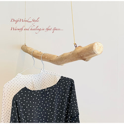 流木インテリア 真っすぐで太い大型流木のハンガーラック 北欧 衣装掛け ハンギング 吊り下げ ハンガーポール 癒し 7枚目の画像