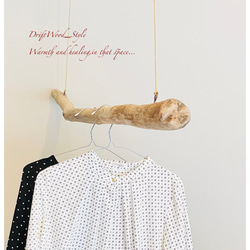 流木インテリア 真っすぐで太い大型流木のハンガーラック 北欧 衣装掛け ハンギング 吊り下げ ハンガーポール 癒し 3枚目の画像