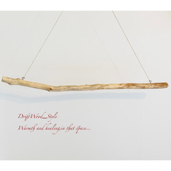 流木インテリア 真っすぐで太い大型流木のハンガーラック 北欧 衣装掛け ハンギング 吊り下げ ハンガーポール 癒し 8枚目の画像