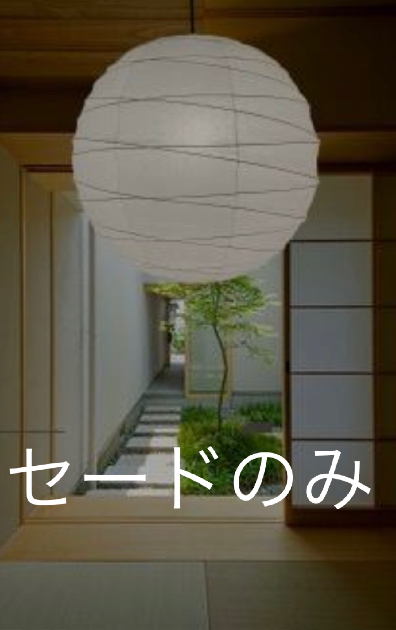 径46㎝丸和紙提灯白1灯具付き照明ペンダント