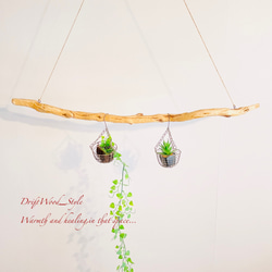 流木インテリア 枝のうねりが美しい天然流木のハンガーラック 北欧 衣装掛け ハンギング 吊り下げ エアプラント N1 5枚目の画像