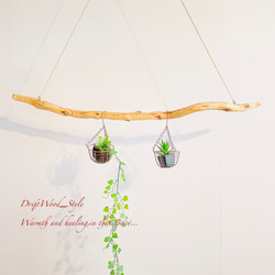 流木インテリア 枝のうねりが美しい天然流木のハンガーラック 北欧 衣装掛け ハンギング 吊り下げ エアプラント N1 1枚目の画像
