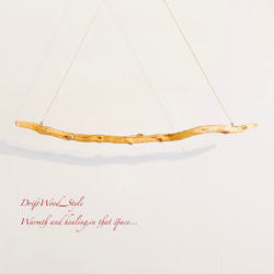 流木インテリア 枝のうねりが美しい天然流木のハンガーラック 北欧 衣装掛け ハンギング 吊り下げ エアプラント N1 6枚目の画像