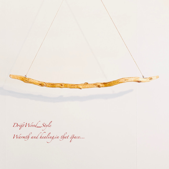 流木インテリア 枝のうねりが美しい天然流木のハンガーラック 北欧 衣装掛け ハンギング 吊り下げ エアプラント N1 6枚目の画像