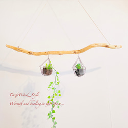 流木インテリア 枝のうねりが美しい天然流木のハンガーラック 北欧 衣装掛け ハンギング 吊り下げ エアプラント N1 4枚目の画像