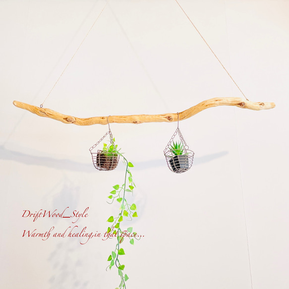 流木インテリア 枝のうねりが美しい天然流木のハンガーラック 北欧 衣装掛け ハンギング 吊り下げ エアプラント N1 4枚目の画像