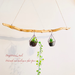 流木インテリア 枝のうねりが美しい天然流木のハンガーラック 北欧 衣装掛け ハンギング 吊り下げ エアプラント N1 2枚目の画像