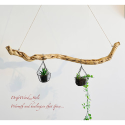 流木インテリア 枝のうねりが美しい天然流木のハンガーラック 北欧 衣装掛け ハンギング 吊り下げ エアプラント N2 4枚目の画像