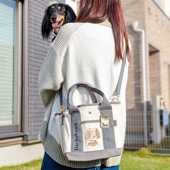 ペットバッグ 犬用斜め掛け散歩 ショルダーバッグ かばん未使用品