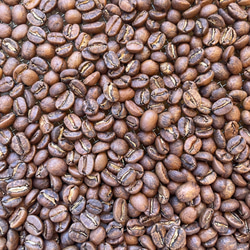 送料無料で届く新鮮な自家焙煎コーヒー豆｜コスタリカ ラ・カンデリージャFW｜300g｜中煎り 3枚目の画像