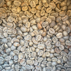 送料無料で届く新鮮な自家焙煎コーヒー豆｜コスタリカ ラ・カンデリージャFW｜150g｜深煎り 2枚目の画像