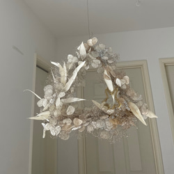 flying wreath " luxueux " フライングリース ルナリア トライアングル ゴールド ドライフラワー 2枚目の画像