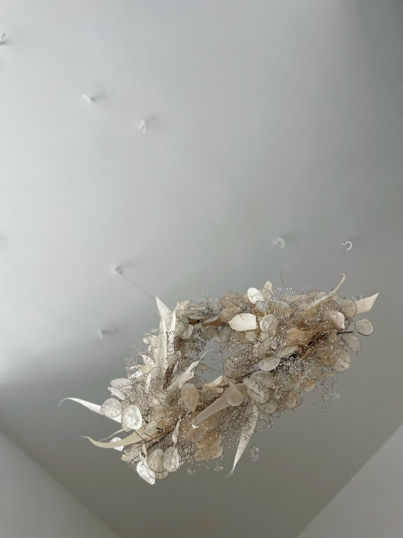 flying wreath " luxueux " フライングリース ルナリア トライアングル ゴールド ドライフラワー 7枚目の画像