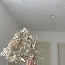 flying wreath " luxueux " フライングリース ルナリア トライアングル ゴールド ドライフラワー 3枚目の画像
