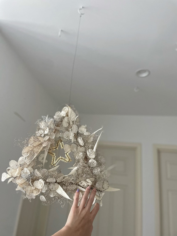 flying wreath " luxueux " フライングリース ルナリア トライアングル ゴールド ドライフラワー 3枚目の画像