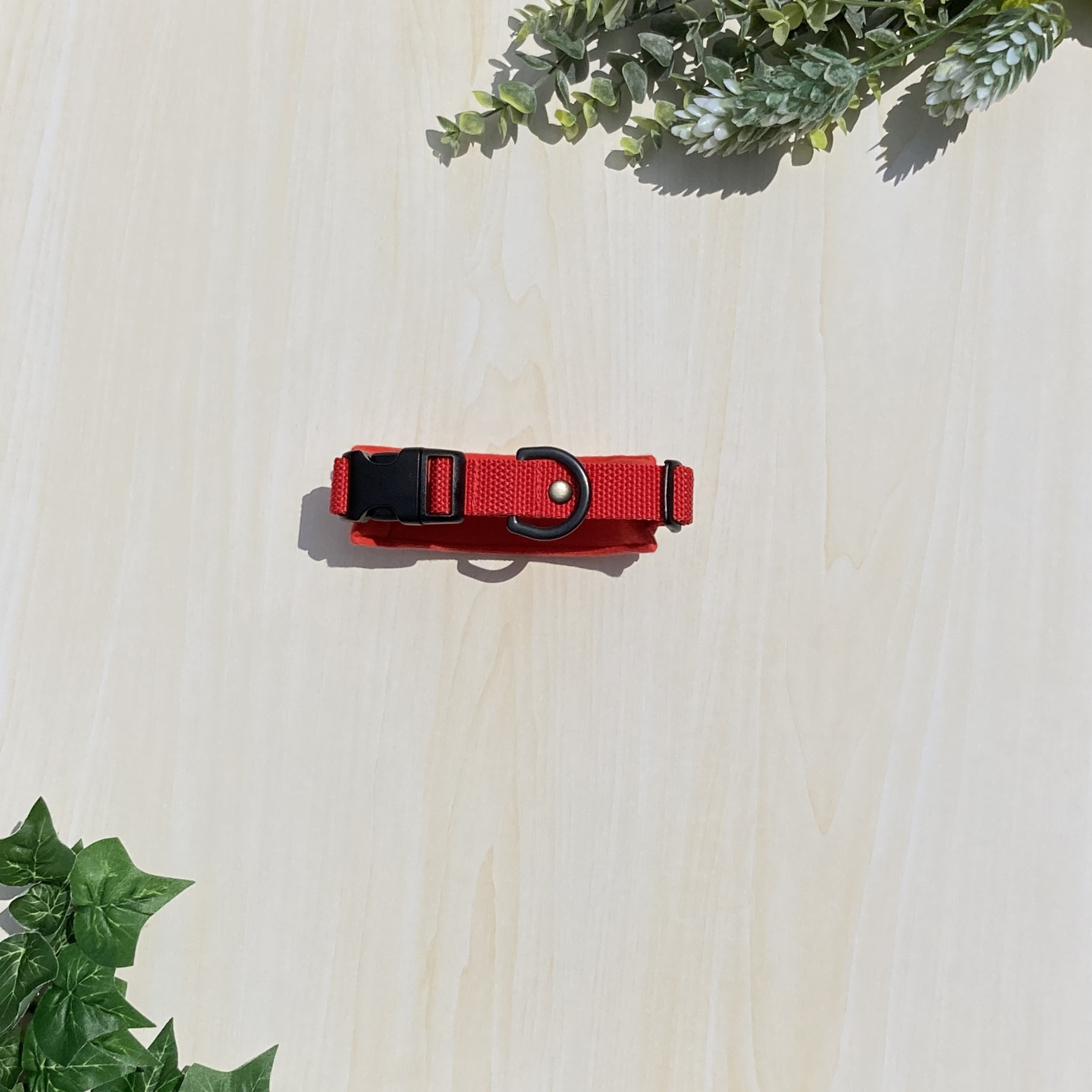 【三点セット】ショルダーリード＋リード＋幅広クッション首輪/Watermelon☆ハンズフリー☆多頭引き