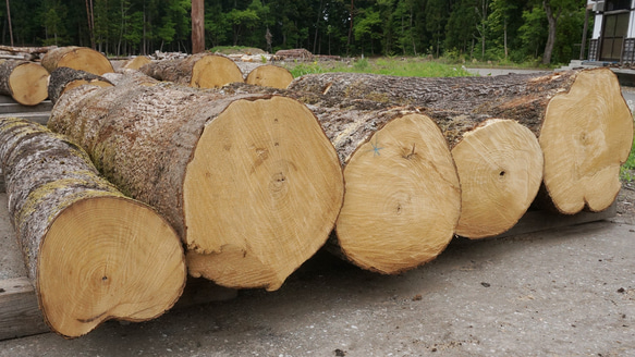 五月人形 木目込み人形 コンパクト 兜飾り「宝輝・粋 」焼き桐 正六角　 13枚目の画像