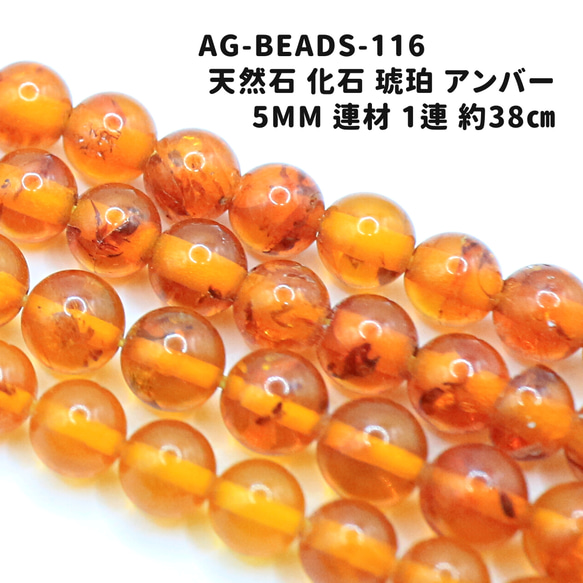 化石　C-38 化石 C-38