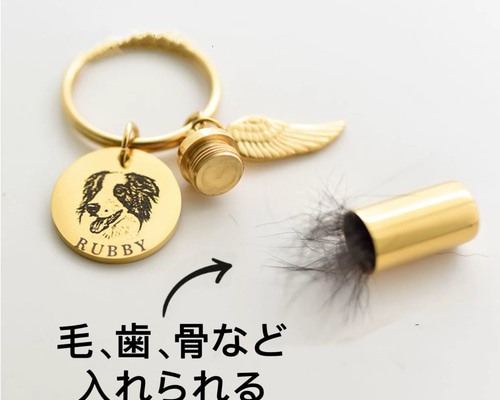 6b46cae2d41d460951c0748f5a7656