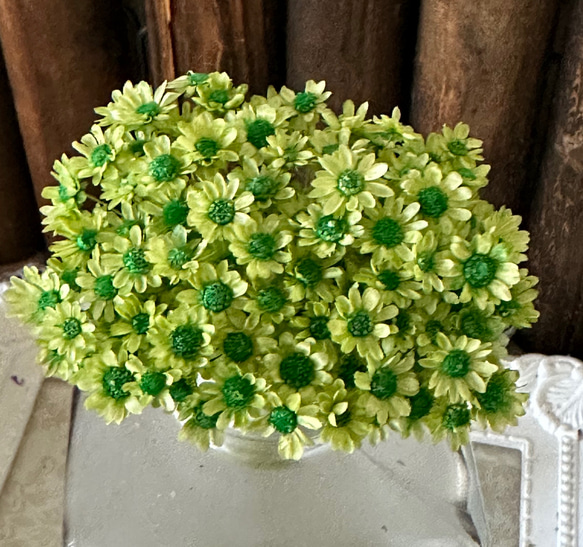 スターフラワーミニアップルグリーングリーン色❣️30輪販売❣️ハンドメイド花材カラードライフラワー 1枚目の画像