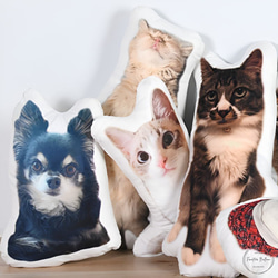 ペット オーダーメイドクッション Lサイズ 60cm 抱き枕 癒しグッズ オリジナル メモリアル クッション 犬 猫 11枚目の画像