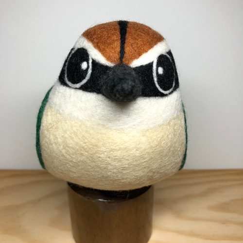 デカ鳥 ヤイロチョウ 羊毛フェルト motif工房 通販 16452792